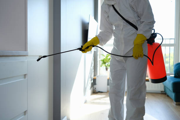 Best Commercial Mold Removal  in Marion Oaks, FL